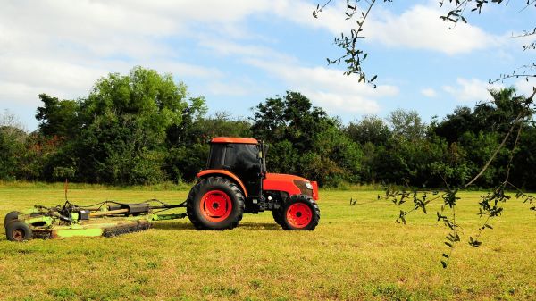 Morgantown Bush Hogging